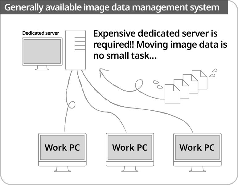 Need for an expensive server! Transfer of image data is cumbersome..